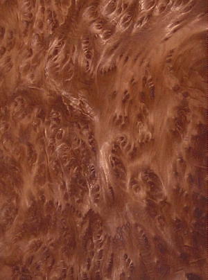 Link to Redwood Burl Product Page