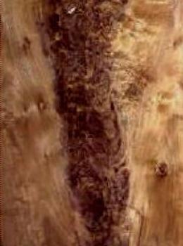 Walnut Crotch Veneer