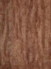 Link to Snail Track Mahogany Burl Product Page
